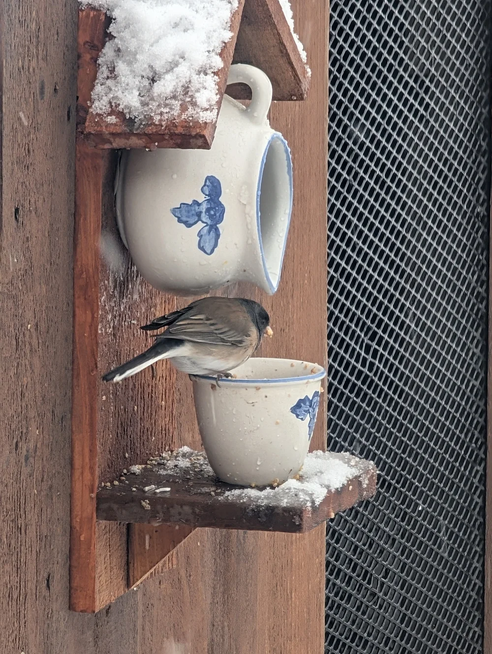 Rustic Wooden Handmade Bird Feeder Teapot Green Tea